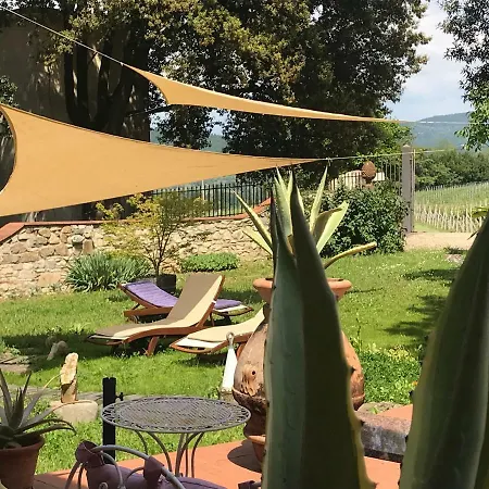 La Della Fattoria Le Sorgenti Italia 5 Girasoli